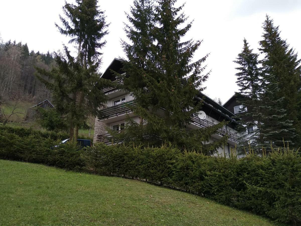 Krkonose Apartment Jablonec nad Jizerou Dış mekan fotoğraf